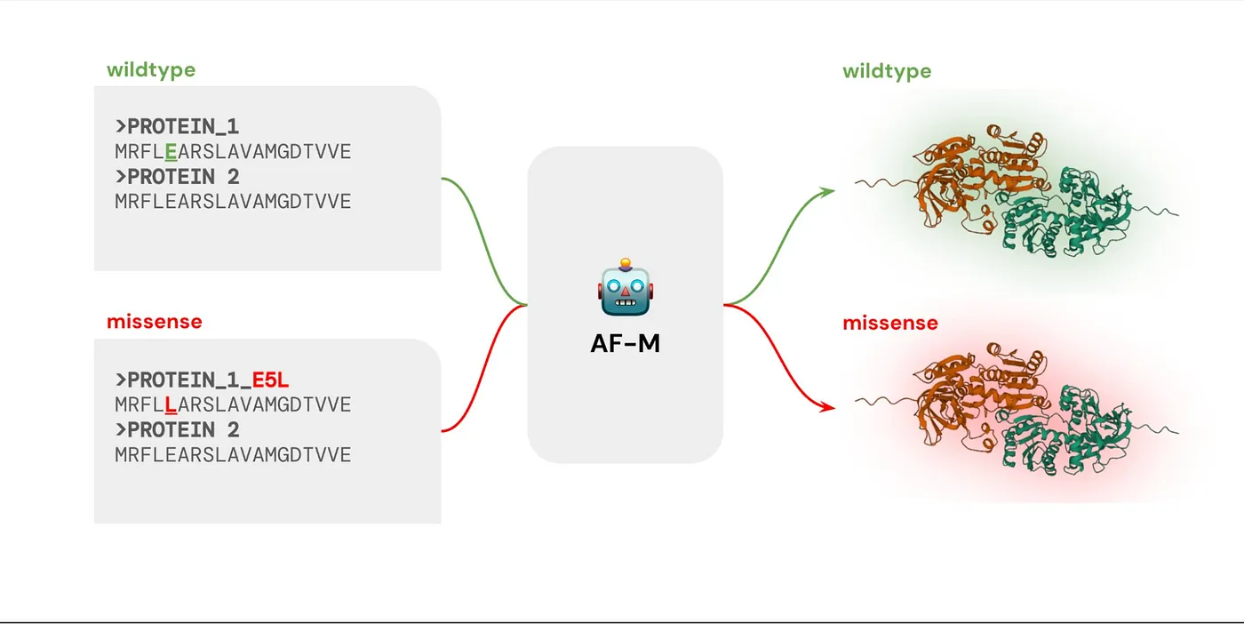 Creating a wildtype and missense complex