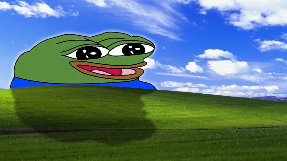 Frogs are cute!!