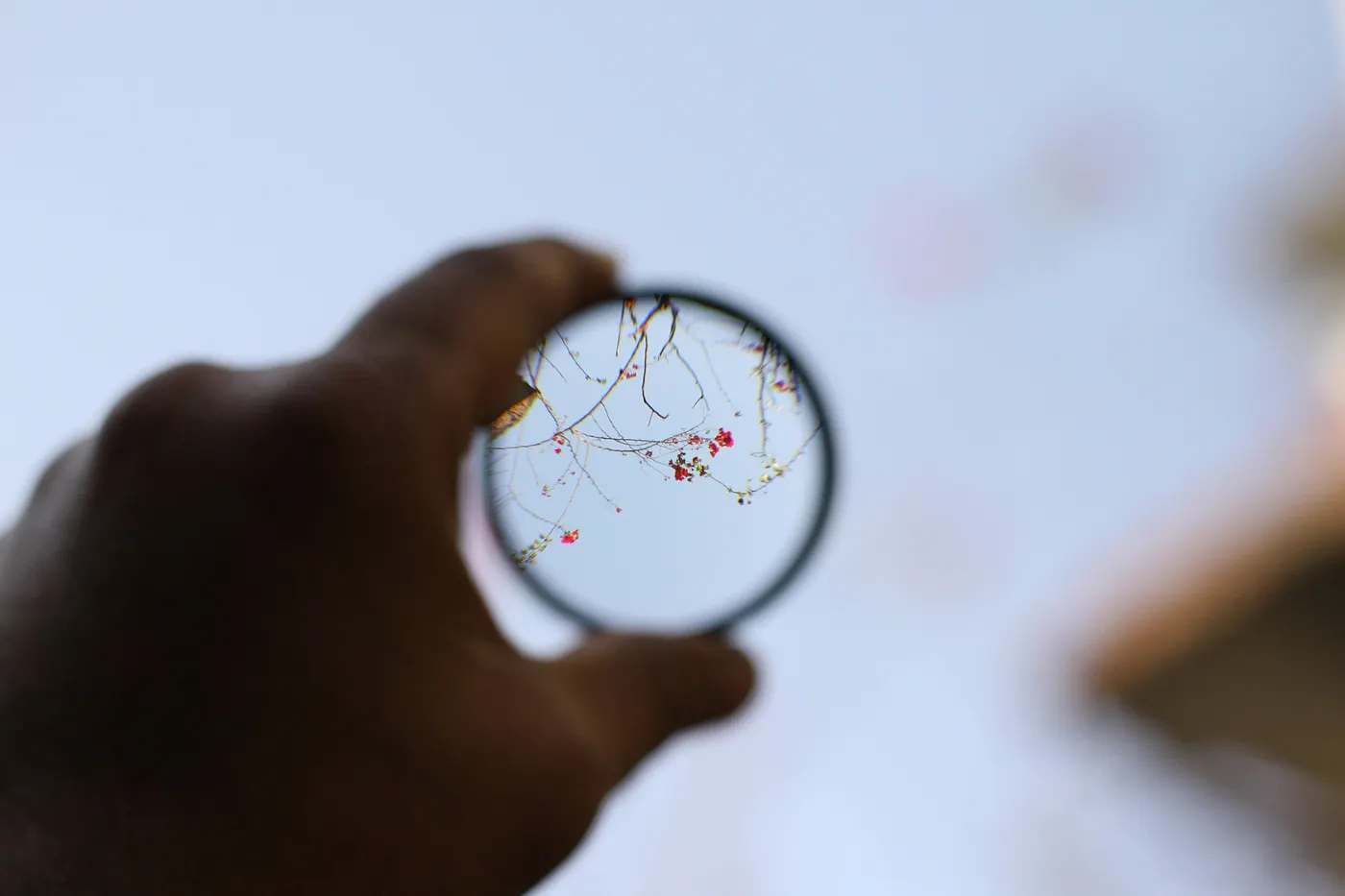 Photo de Sunny Tank sur Unsplash
