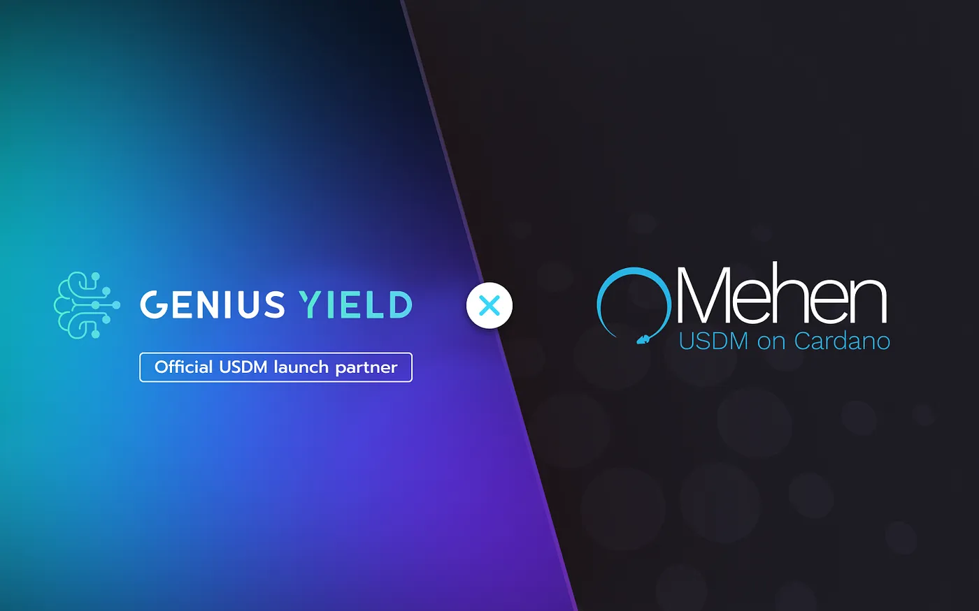 Genius Yield becomes an official USDM launch partner