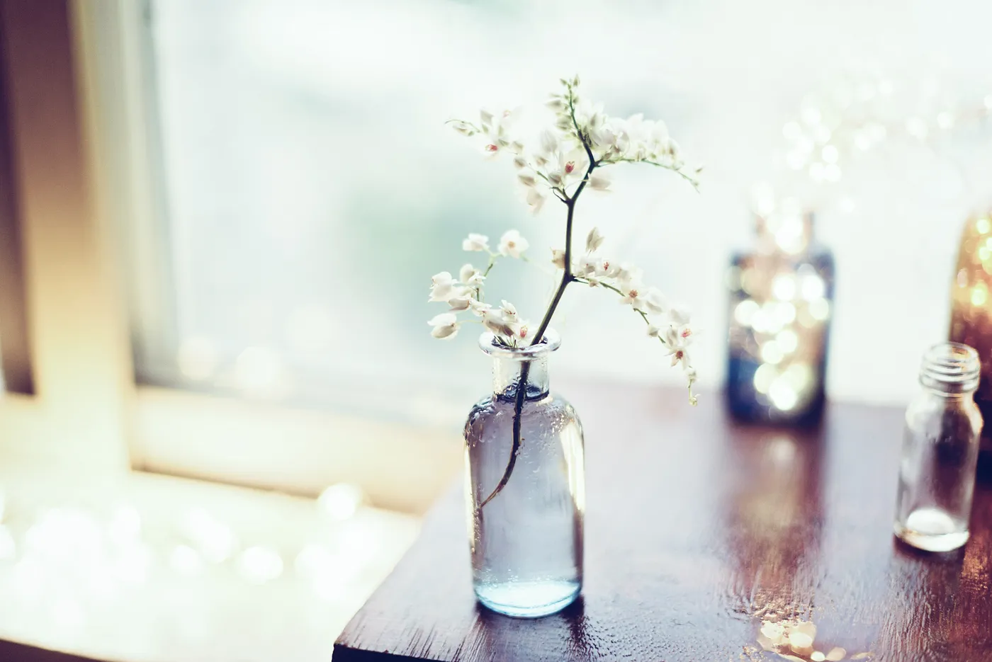 Photo by Anshu A on Unsplash