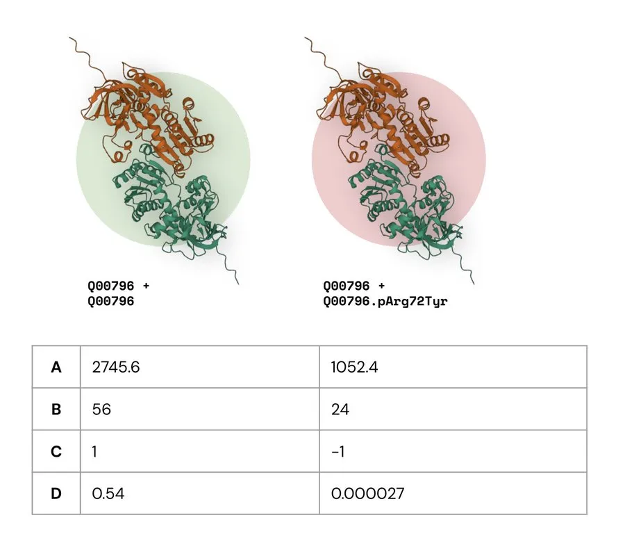 Illustration of wildtype and missense complex comparison