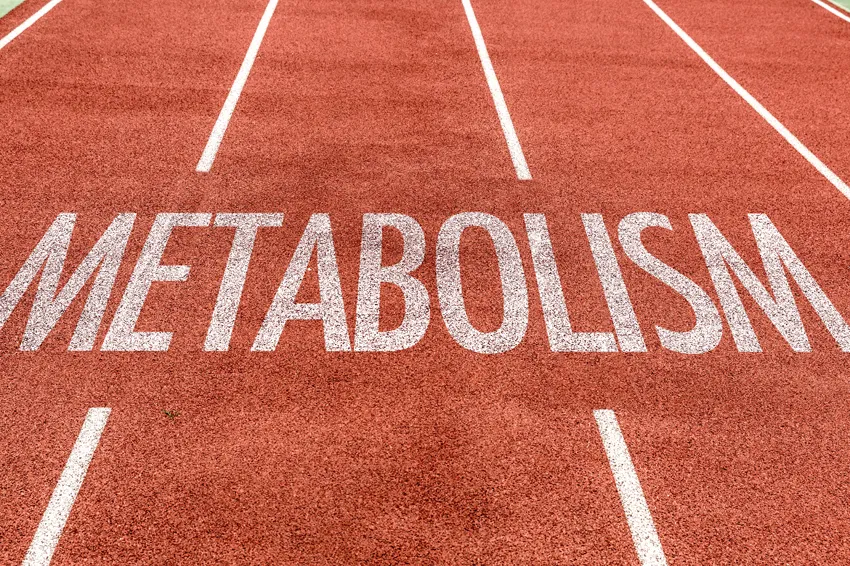 3, 2, 1 ¡metabolismo!