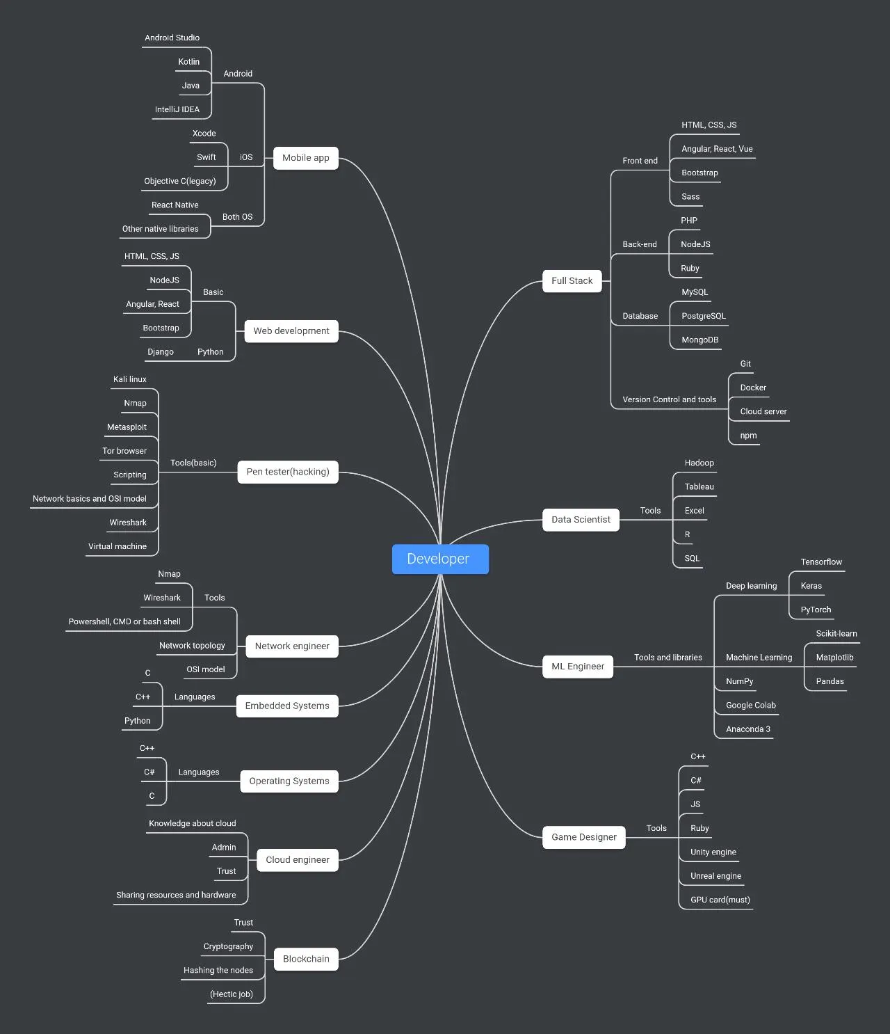 Some possible career paths of a developer