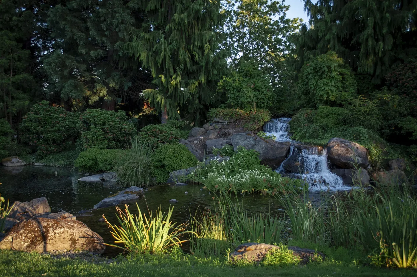 A scenic brook with colorful flowers on the shoreline