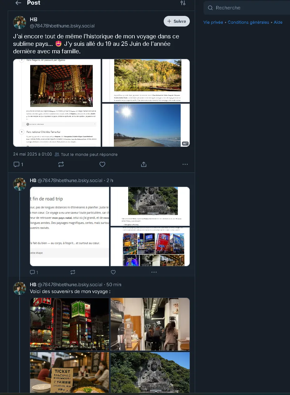 ALT text hides info