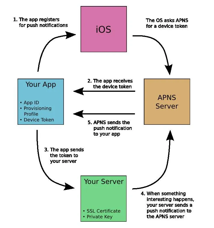 Push Notifications Flow - Reference