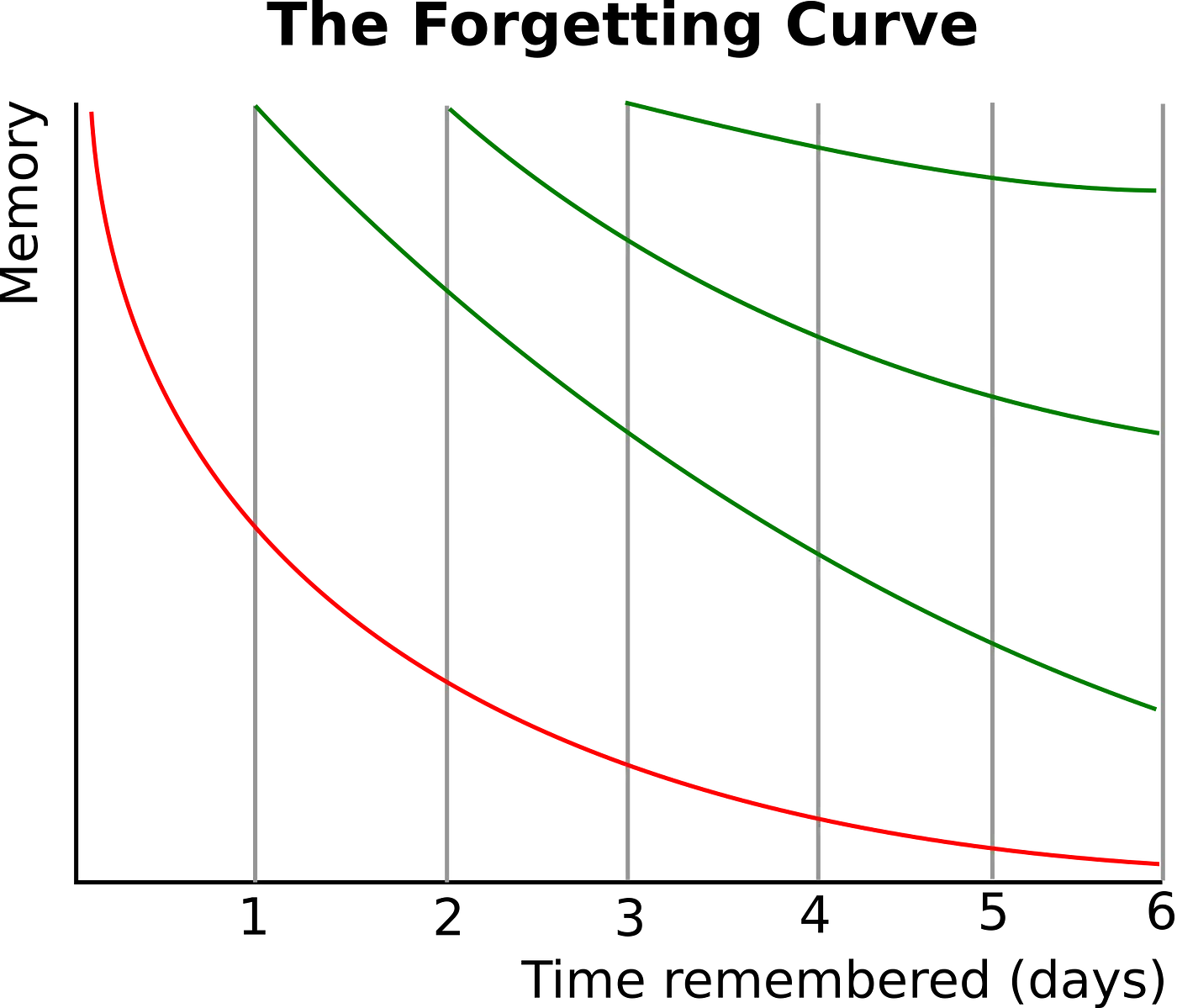 forgetting_curve
