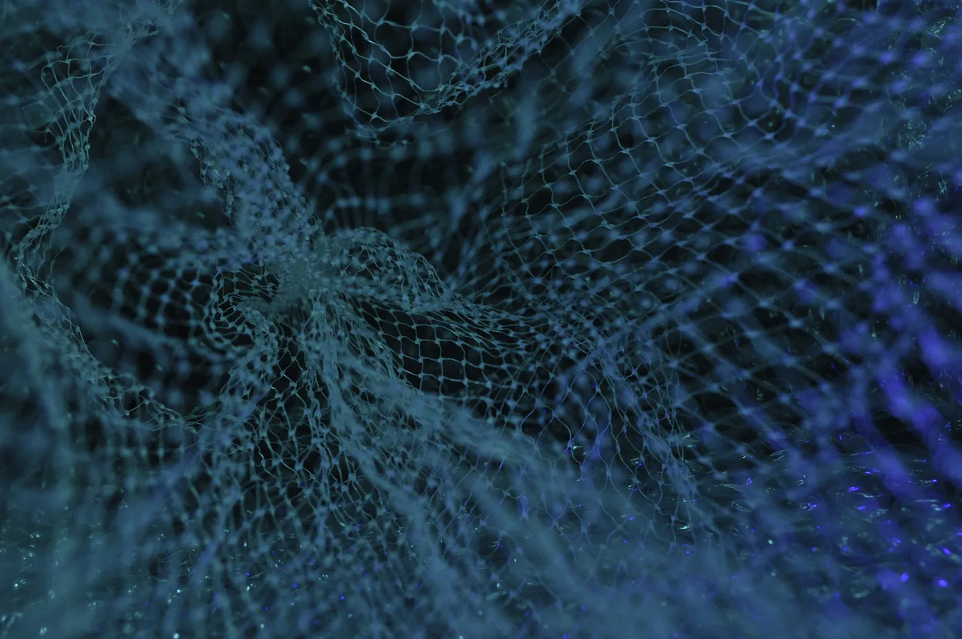 Picture of Net Graphic