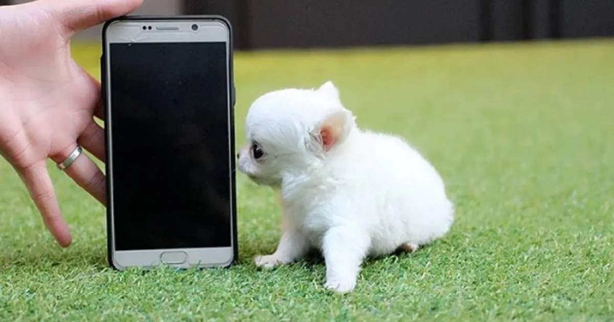 Delivery Exception, Animal Interference r/mildlyinfuriating