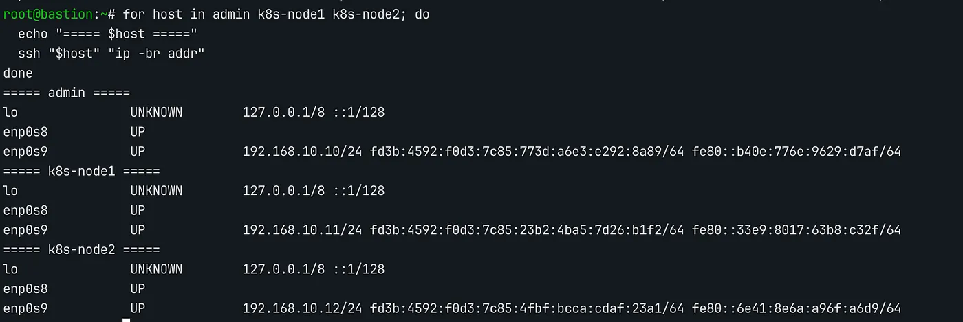 ip -br addr output