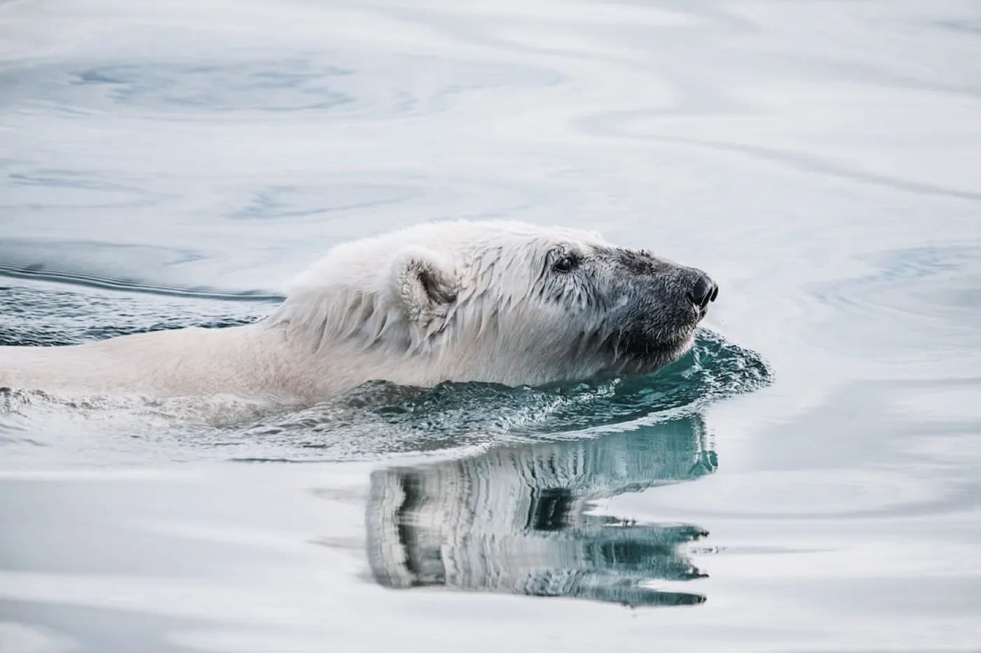 Photo by Annie Spratt on Unsplash