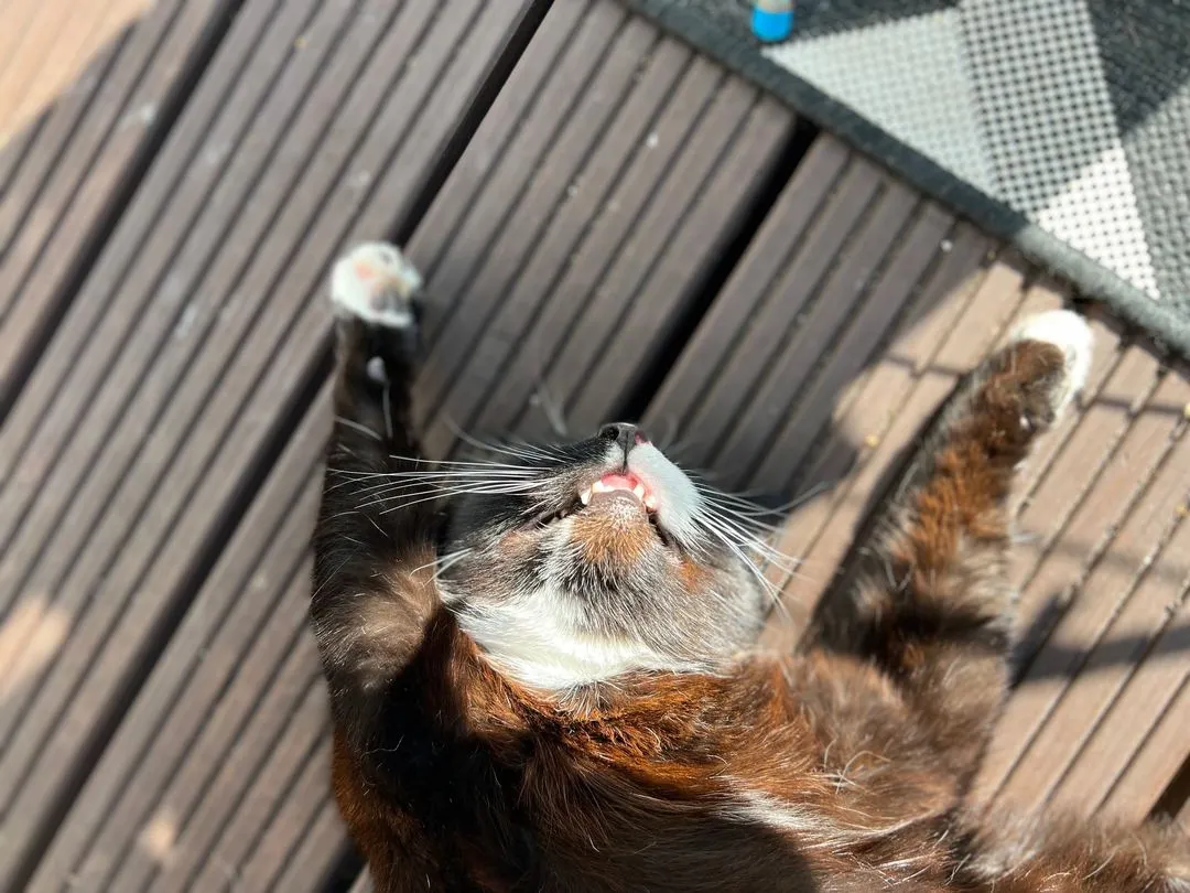 Barry — on Bank Holiday