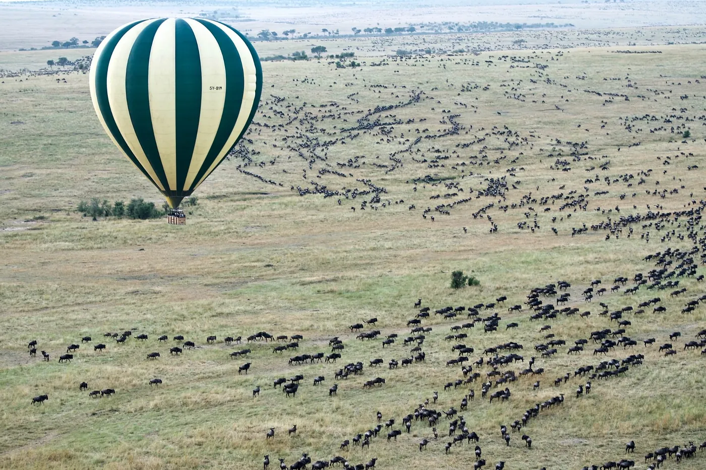 Hot-air balloon flight | Great Migration | Serengeti National Park | Masai Mara game reserve