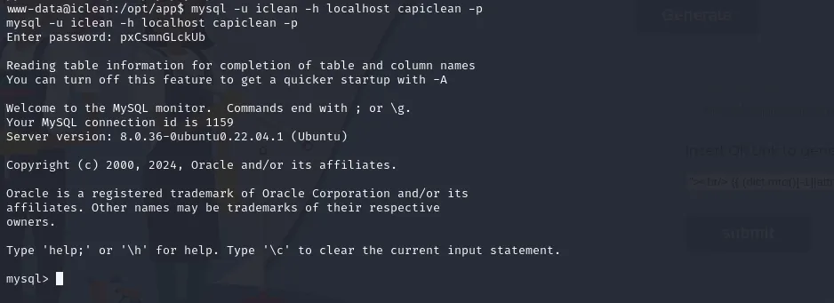 Accessing internal MySQL server