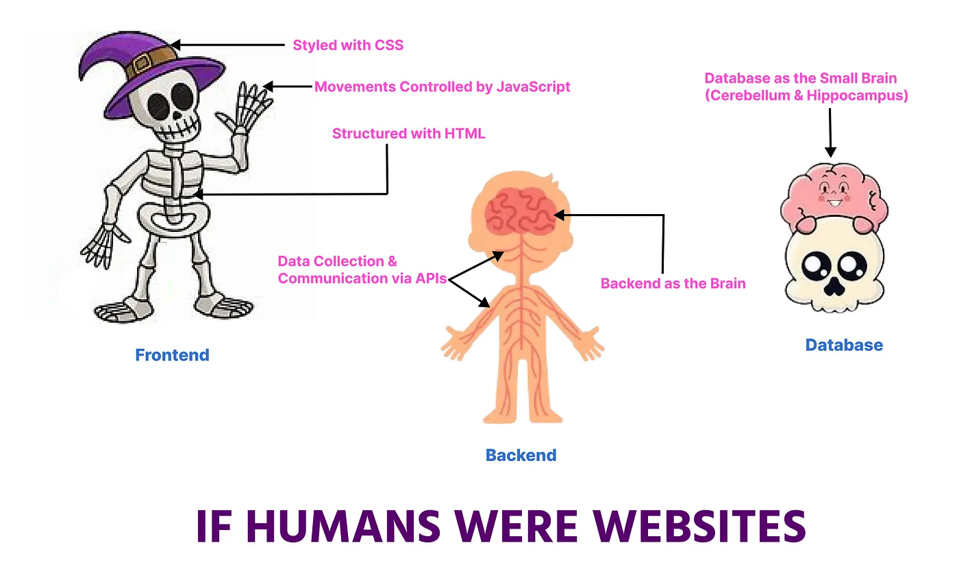 If Websites Were Humans: How the Internet Actually Works!