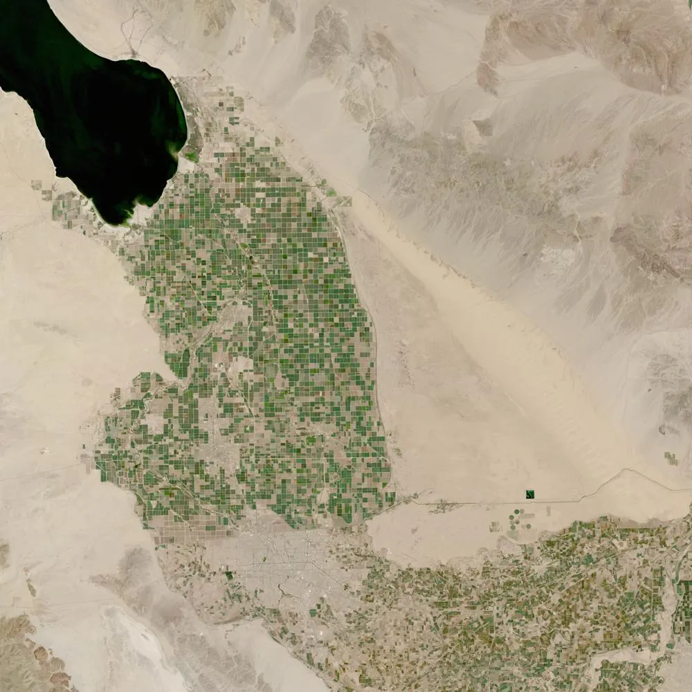 Parallel News Arenas