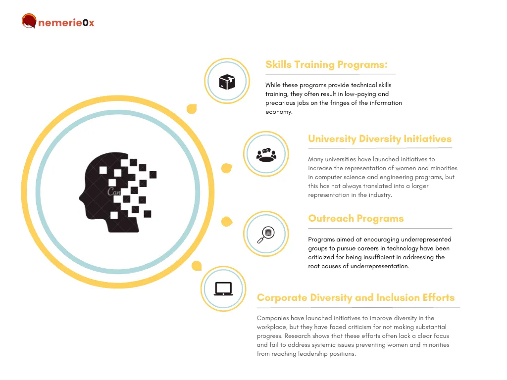 Figure 3: Flaws of diversity programs and initiatives addressing underrepresentation