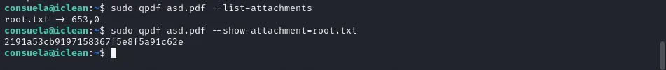extracting root.txt contents