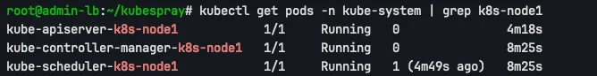 kubectl get pods -n kube-system | grep k8s-node1