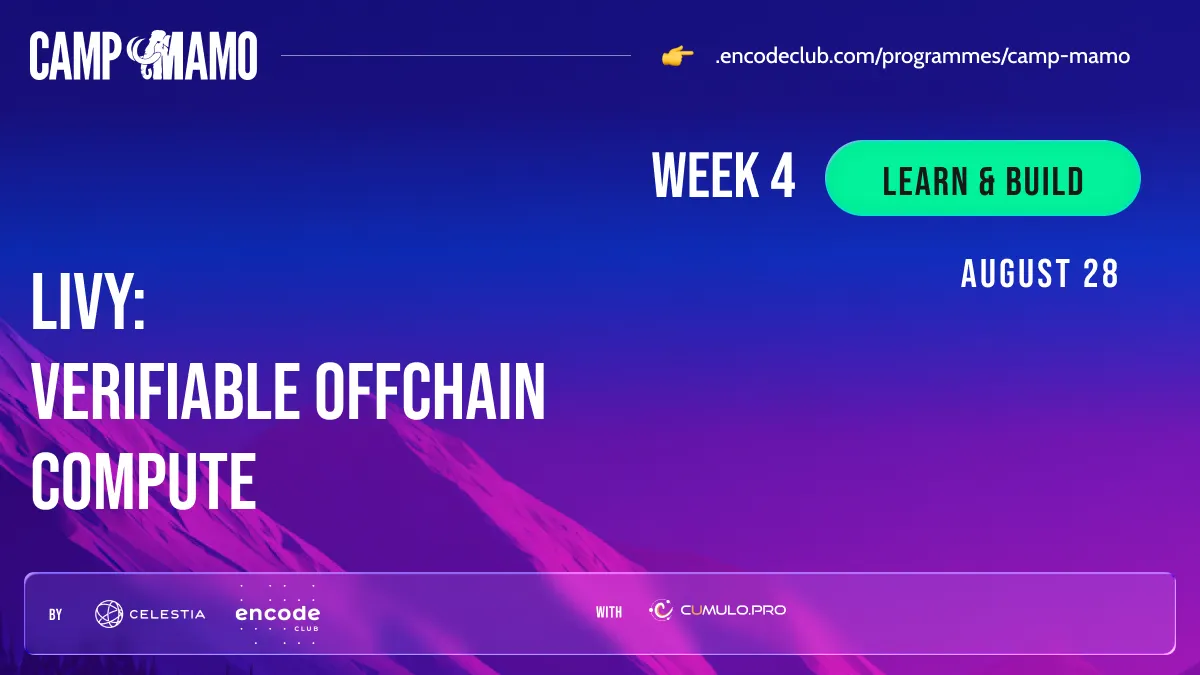 Livy: Verifiable Offchain Compute