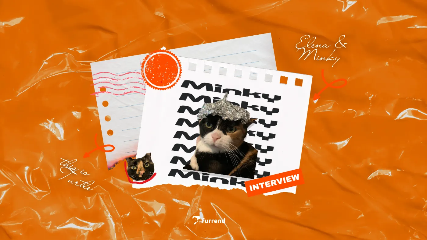 Minky the cat