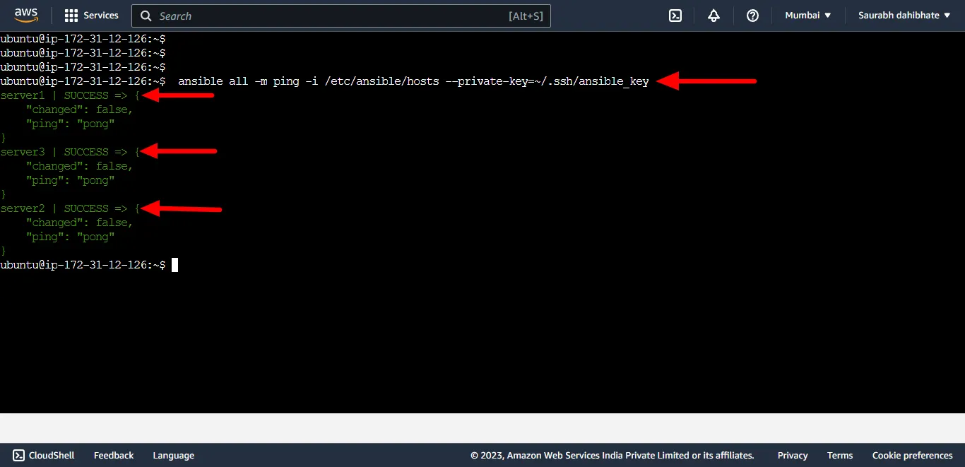 Ad-hoc command examples