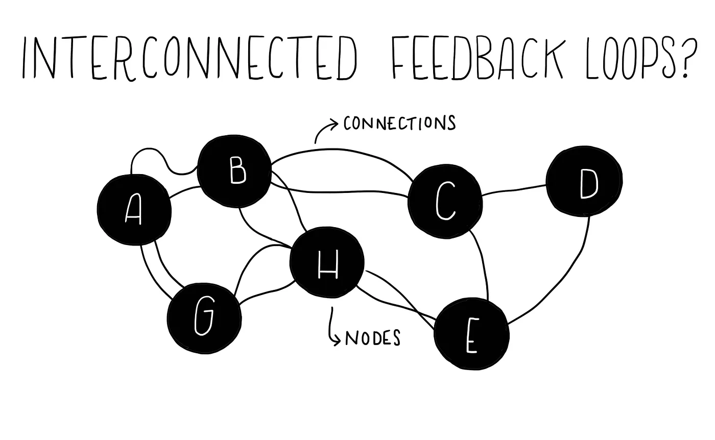 Interconnected feedback loops, synthesis illustrated