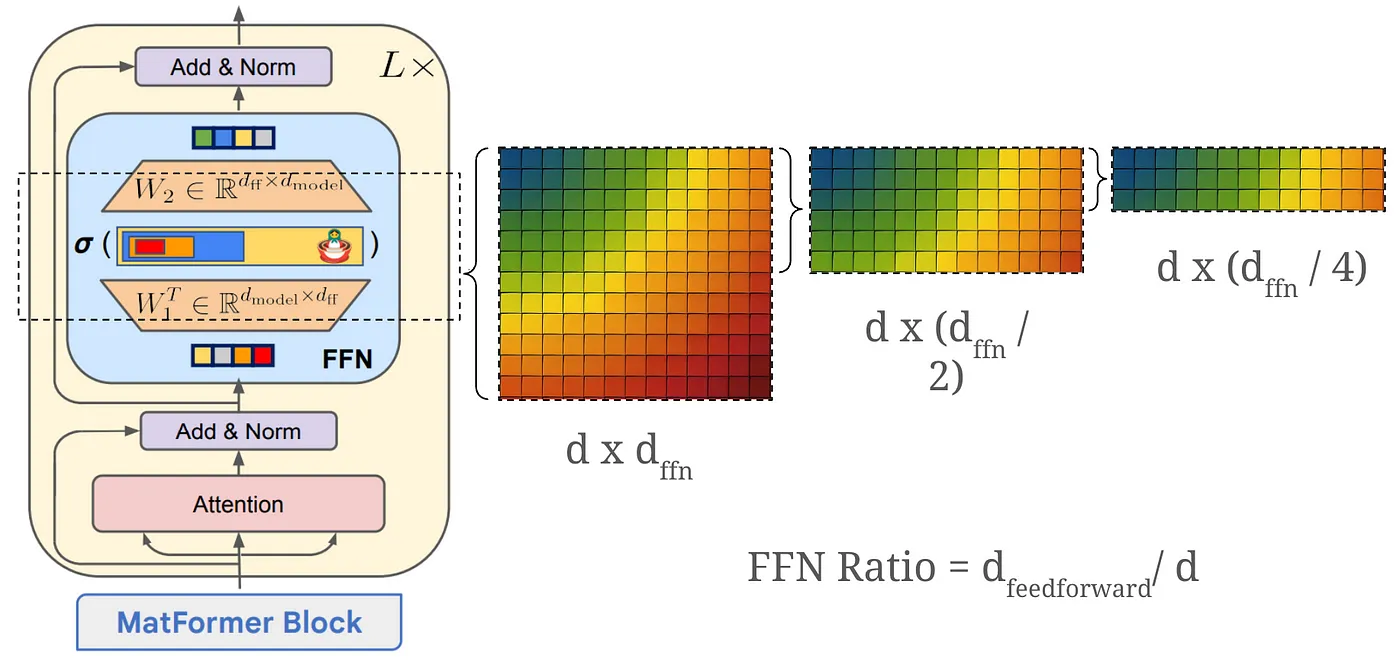 MatFormer architecture