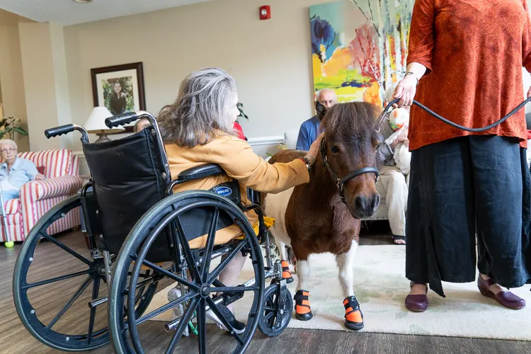 Trinket at Village of Wilkes