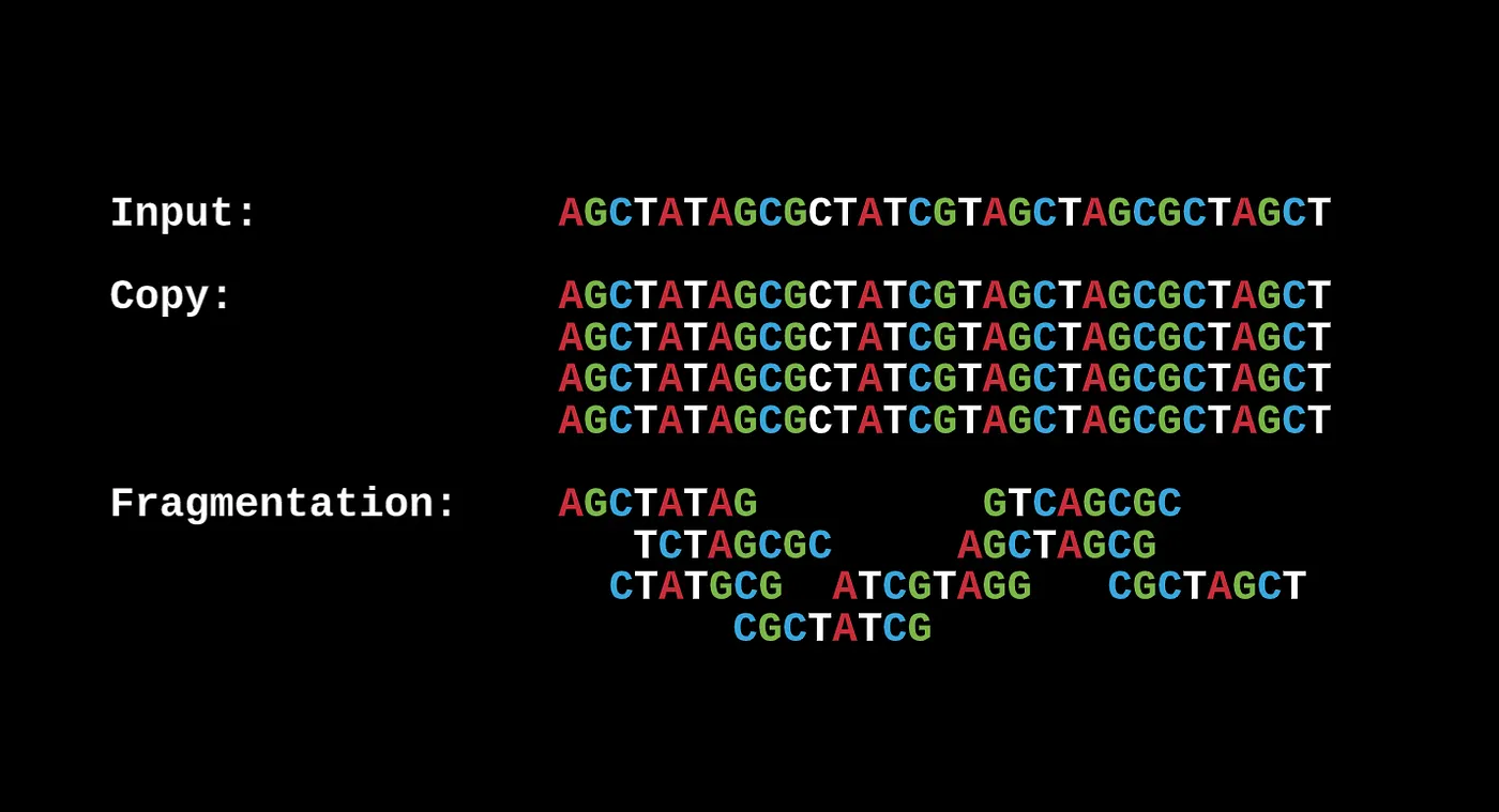 WG Shotgun Sequencing -> we randomly select different contigs from a set of copies of our DNA.