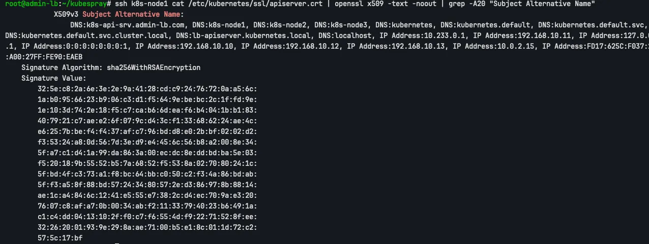 ssh k8s-node1 cat /etc/kubernetes/ssl/apiserver.crt | openssl x509 -text -noout | grep -A20 "Subject Alternative Name"