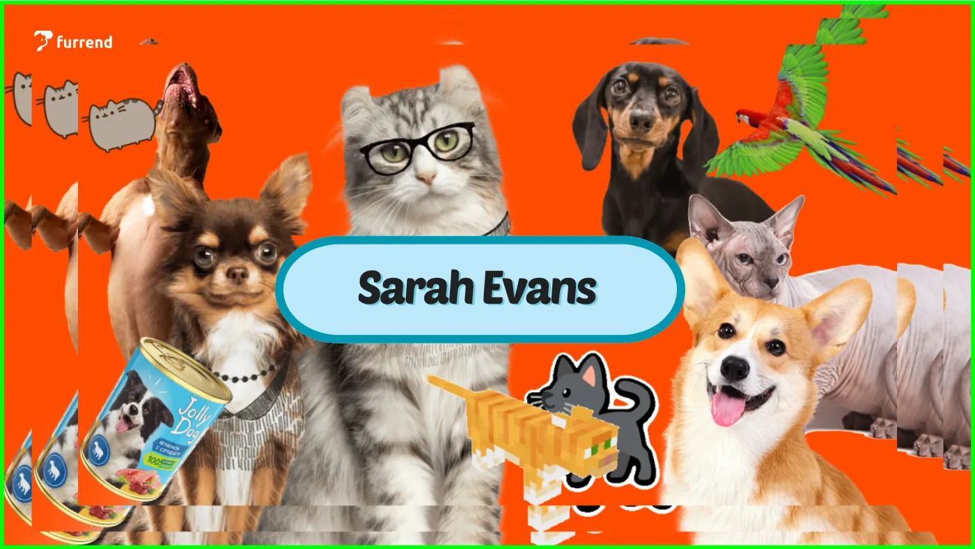 Preview image for artist Sarah Evans interview