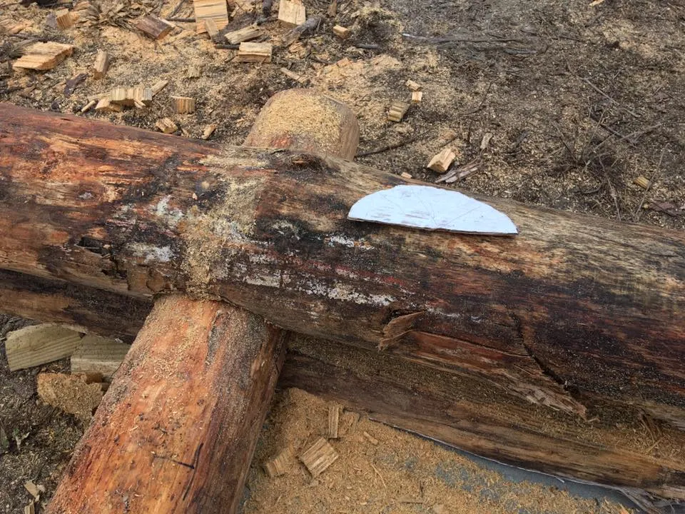 Cardboard template for notches.