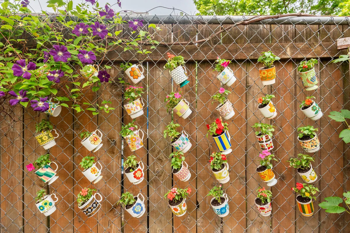 Colorful vintage mugs filled with small flowers hang in rows on a chain-link fence, creating a vertical garden.