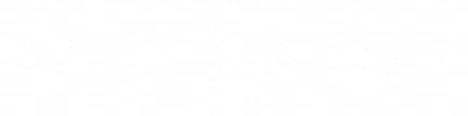 The lower the entropy, the less uncertainty and variation there is in the distribution, or the more conservative the strand is.