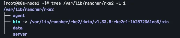 tree /var/lib/rancher/rke2 -L 1