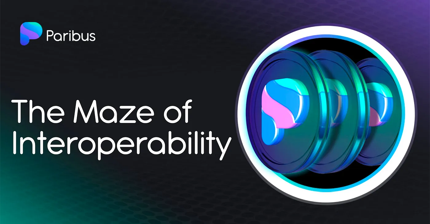 The Interoperability Maze