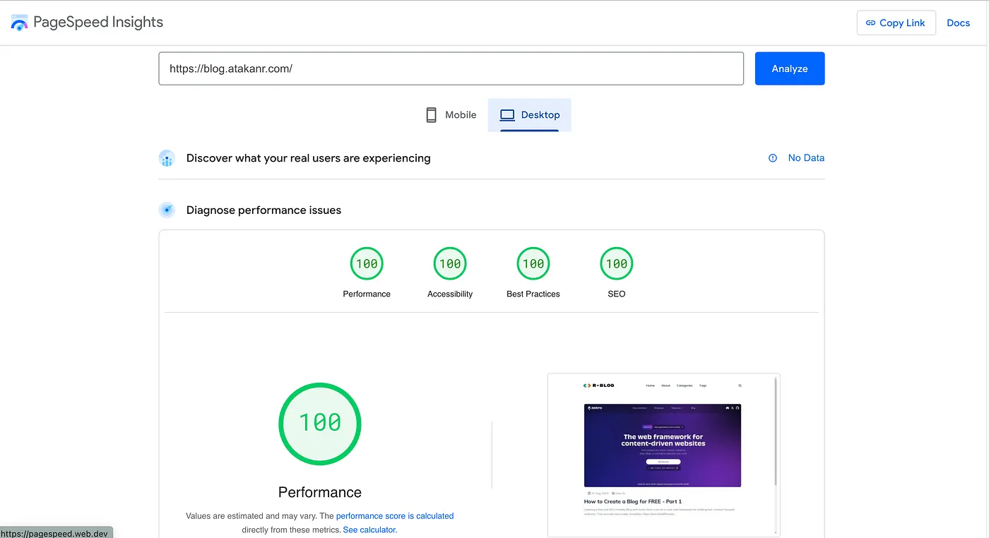 Google PageSpeed Insights screenshot