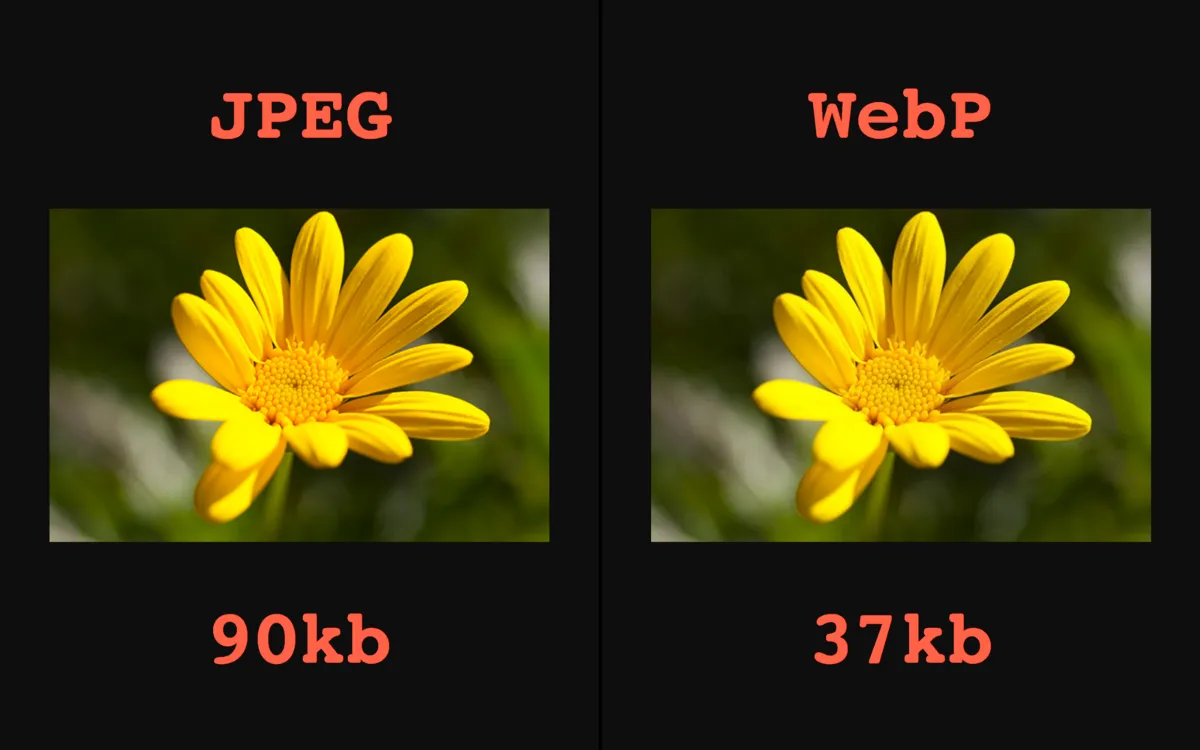 เปรียบเทียบภาพ WebP กับ JPEG