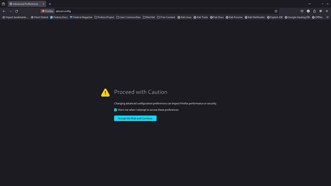 Click Accept the Risk and Continue