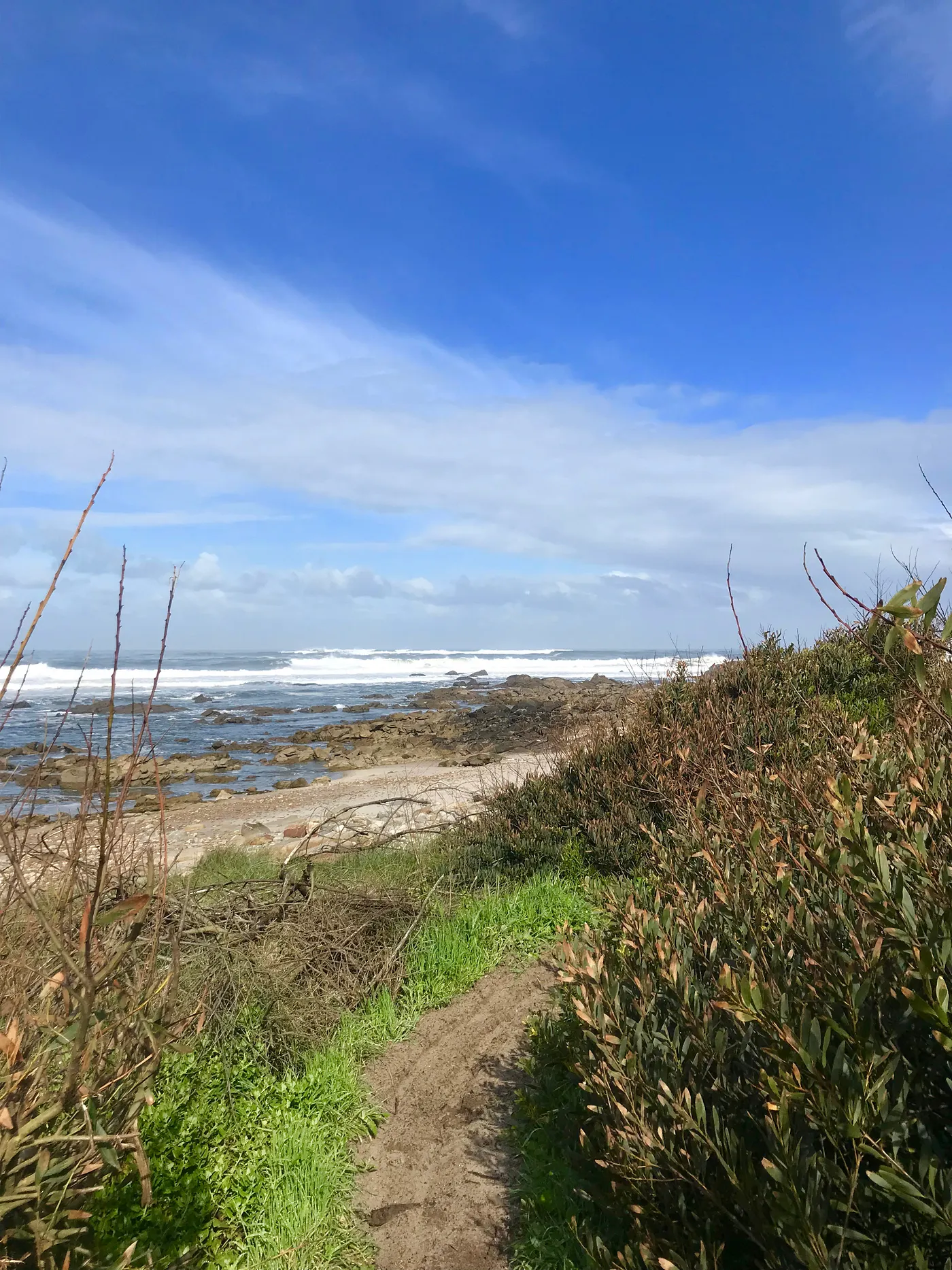 Dirt singletrack trail with beach in background