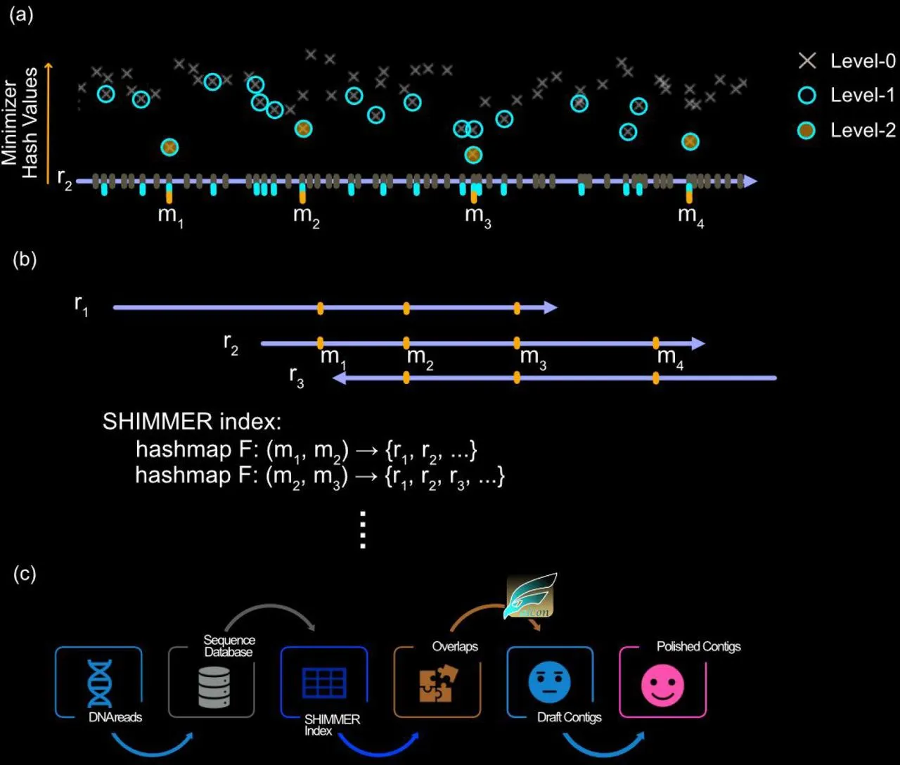 Human Genome Assembly Example: SHIMMER Indexing + Minimzing Errors + Maximizing Overlaps