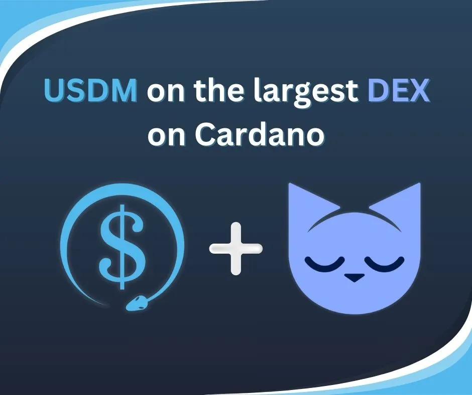 USDM Empowering Cardano Community DeFi with the largest DEX on Cardano + Minswap Community DAO Vote!