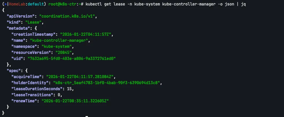 kubectl get lease