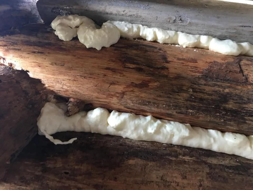 Insulation in log gaps