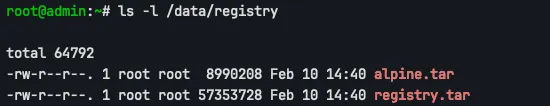 ls -l /data/registry