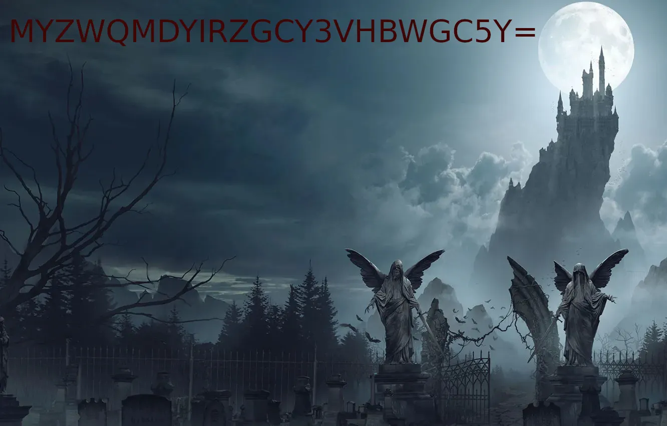 Repaired Image