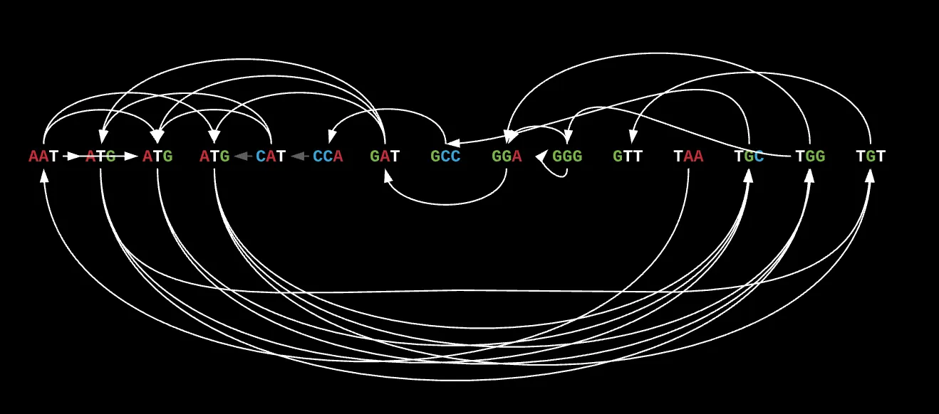 Directed Connection Graph -> Nodes are Reads, Edges represent overlap prefix/suffix